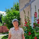 ���� �����, ������-���, 72 ���� - ��������� 21 ����� 2024 � ������ ���� ����������