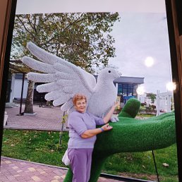 ���� ������, ������, 65 ��� - ��������� 20 ������� 2025