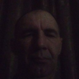 ������, ����, 46 ���