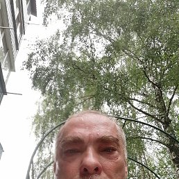 , 50 , 