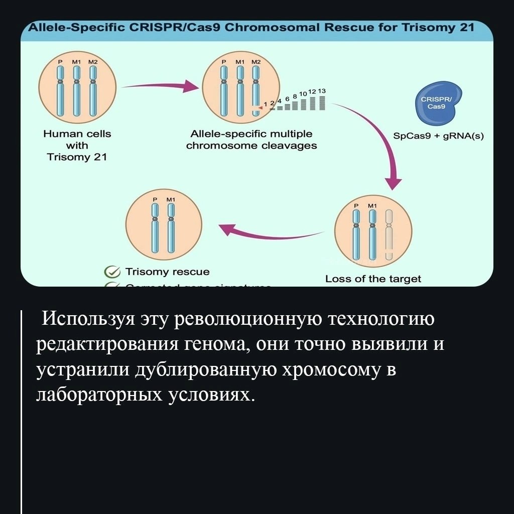  |  |   5 - 29  2025  11:59 - 3