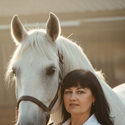 ���� �����, ������ ��������, 59 ��� - ��������� 17 ������� 2026