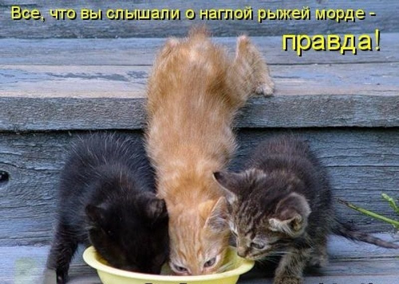   - 15  2024  14:18
