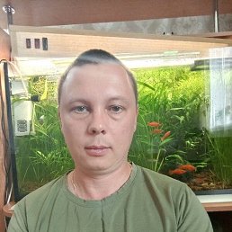 , 33 , 