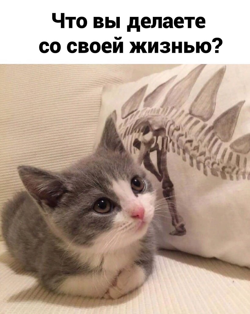 ��� ���� � ����� �� �� - 29 ������ 2026 � 12:25