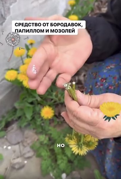 Данный препарат способен устранить бородавки, папилломы, мозоли и пигментные пятна на коже вашего ...
