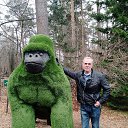 ���� ������, �����������, 35 ��� - ��������� 8 ���� 2025 � ������ ���� ����������