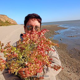 �����, �������������-����������, 65 ���