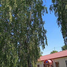 �����������, ������, 45 ���