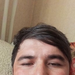  , 41, 