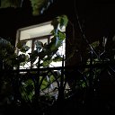 ���� �������, �����-���������, 59 ��� - ��������� 9 ������ 2025 � ������ �����