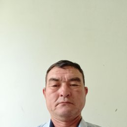 , 51, 