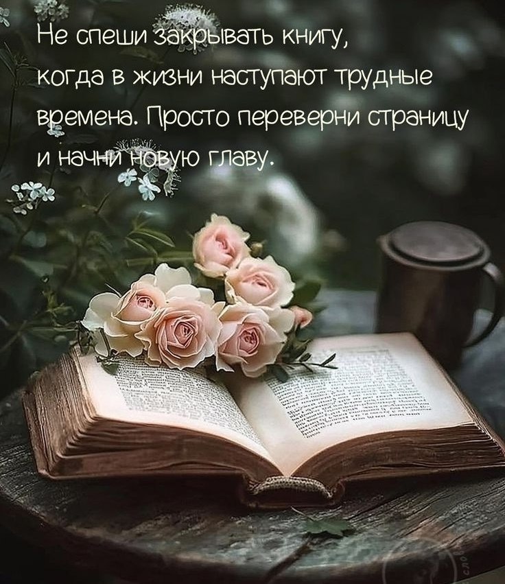   ,    . - 15  2025  14:08