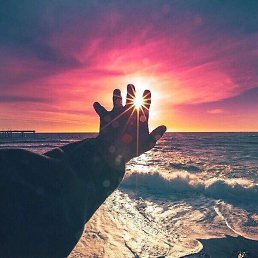 �������, ������, 41 ���