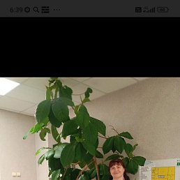 �������, ������, 49 ���