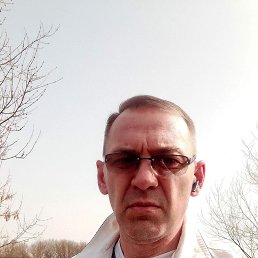 ���� ����������, �������, 44 ���� - ��������� 13 ����� 2026