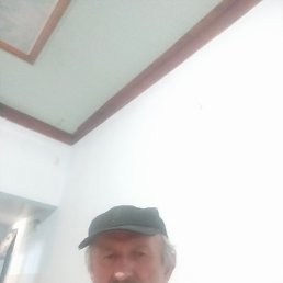 , 67, 