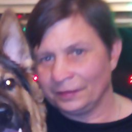 ������, ����, 51 ���