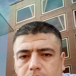 ���� ������, ������, 42 ���� - ��������� 9 ������ 2024