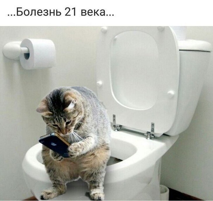 ? ,  ! - 28  2025  06:25