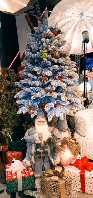    2025 - 2026,  - , : ...