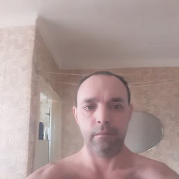 , 41, 