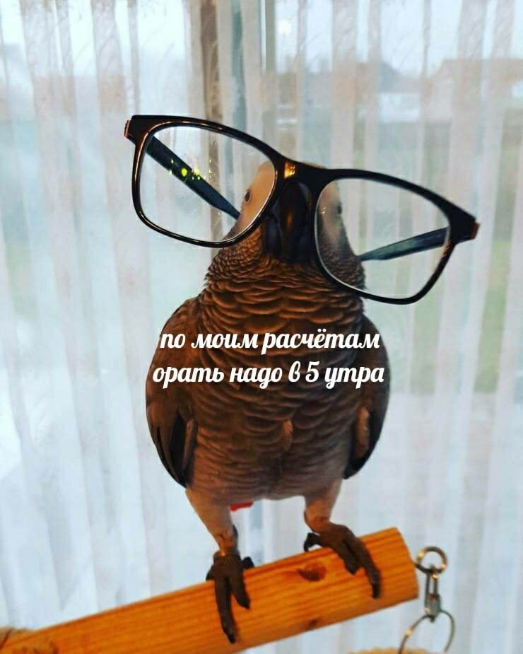   - 26  2024  17:17