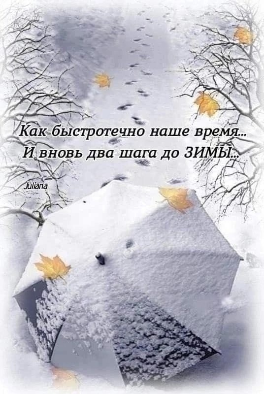  - 15  2025  11:47