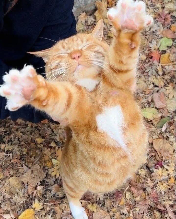 :)     