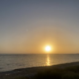 Edvard, �����, 43 ����
