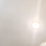 �����, 41 ���, ������ ��������
