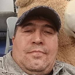 ������, ���������, 50 ���