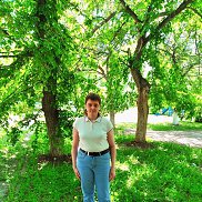  , 33 , -
