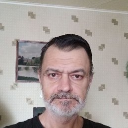 , 48, 