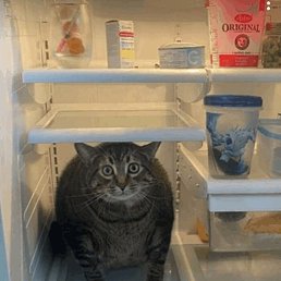 �������, �����-���������, 29 ���