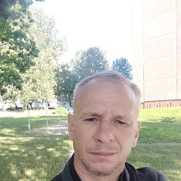 , 44, 