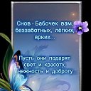���� �����, ������ - ��������� 5 ��� 2026 � ������ ������ ��������