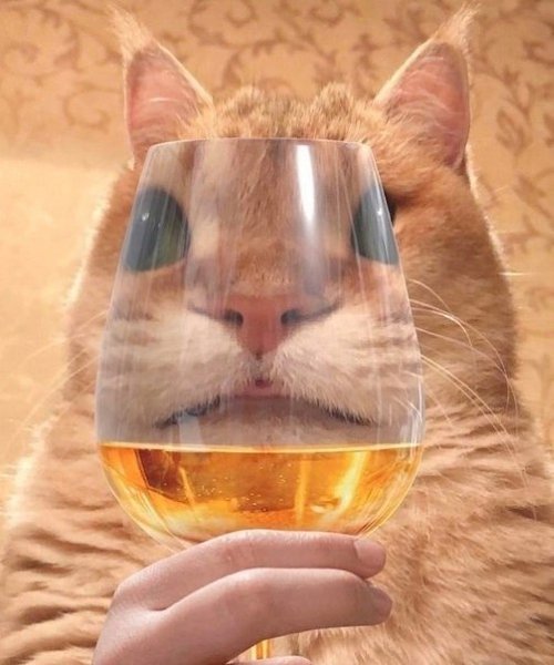   !