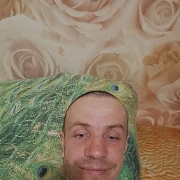 �����, 34 ����, ��������