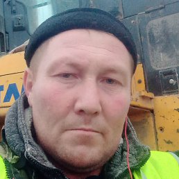 ����, ������, 39 ���