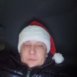 �����, 38 ���, ���������