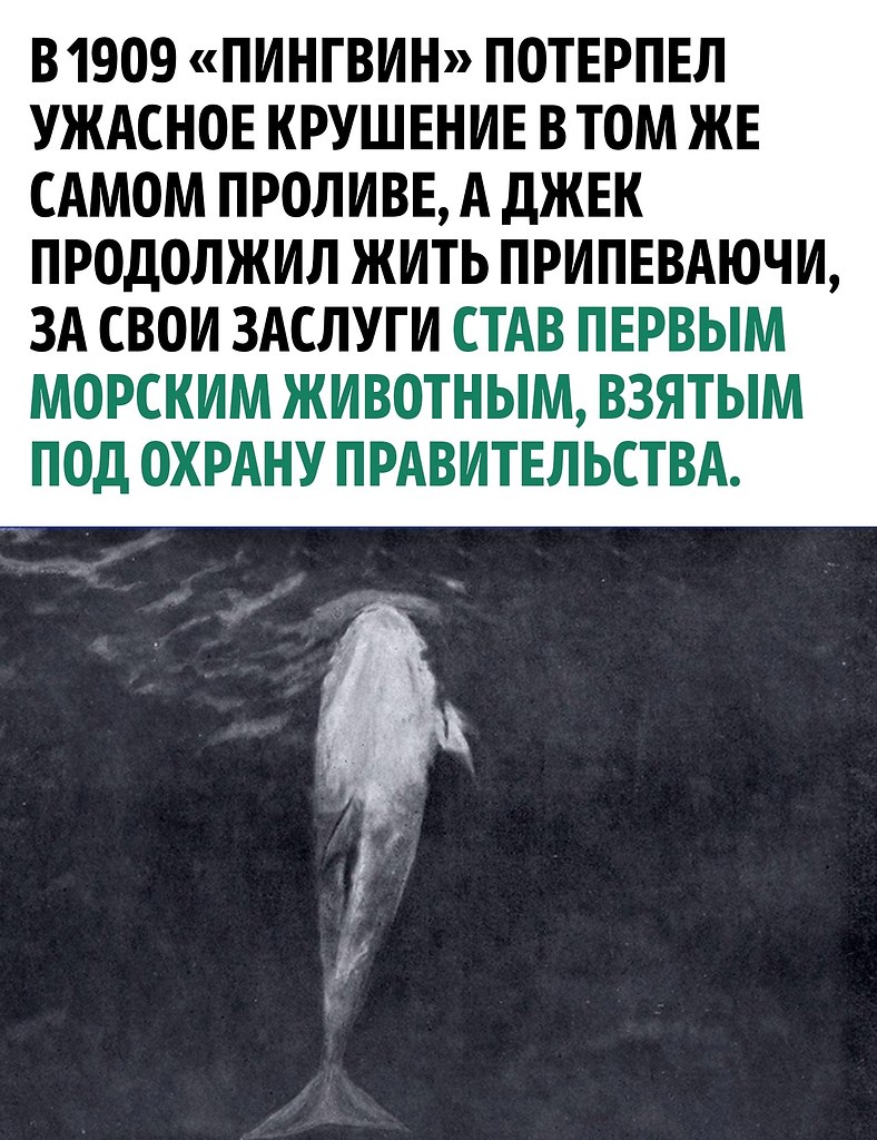  , !() - 24  2024  09:17 - 3