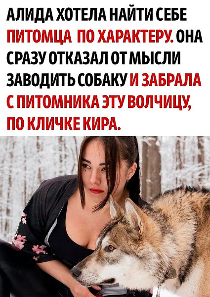 ���� � ����� ���� ��������� ������ - 2