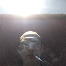 �������, �����, 41 ���