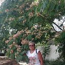 ���� �������, ������ ��������, 69 ��� - ��������� 26 ������ 2026 � ������ ���� ����������