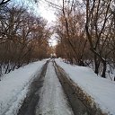 ���� �����, ������, 32 ���� - ��������� 25 ���� 2026 � ������ ������ ��������