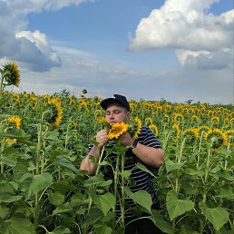 ���� �����, ������, 32 ���� - ��������� 3 ������ 2026