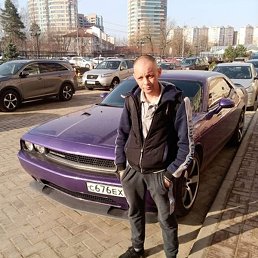 Rustik, ������, 41 ���