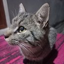  Mrrustamov, , 19  -  10  2023    