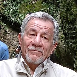 �������, ��������, 71 ���